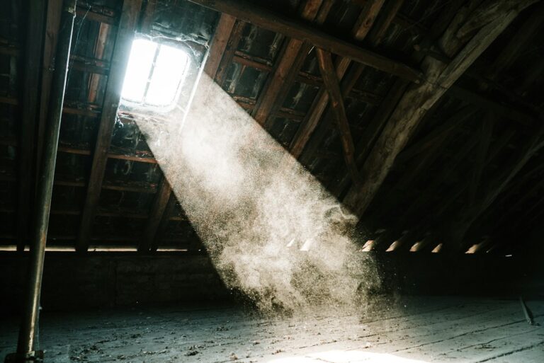 Attic insulation surrounds roof rafters while daylight enters through a properly ventilated eave.